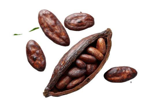 Overhead shot of a dark pod opened to reveal cocoa beans scattered on a black background