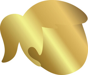 Golden Ponytail Hairstyle