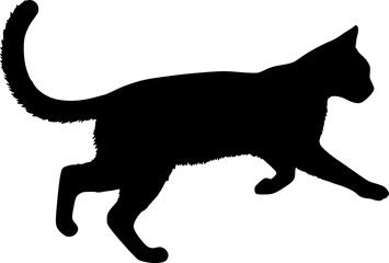 Black cat design