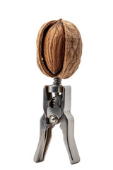 Macro shot of a walnut being cracked in a silver nutcracker against a stark black background