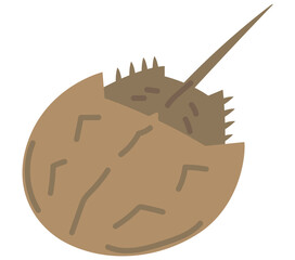 カブトガニ　古代生物