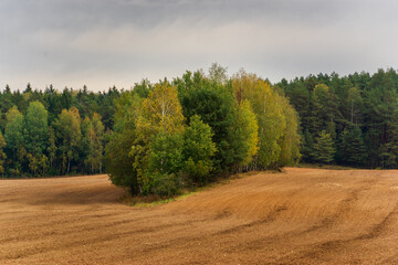 Jesień wkracza na Wzgórza Sokólskie, Podlasie, Polska © podlaski49