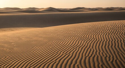 Tranquil Desert Waves Ripples of Sand Under the Warm Sun
