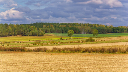 Jesień wkracza na Wzgórza Sokólskie, Podlasie, Polska