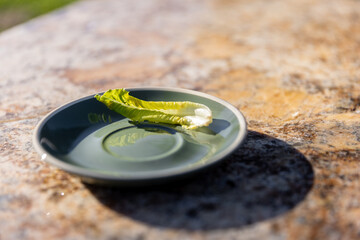 A Single Leaf of Romaine Lettuce Resting On a Green Plate Against a Textured Granite Background