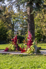 Vibrant Floral Arrangement in a Serene Park Setting Surrounded by Lush Greenery - A Feast for the Eyes Showcasing Nature's Autumn Colors and Textures Amidst a Beautiful Landscape