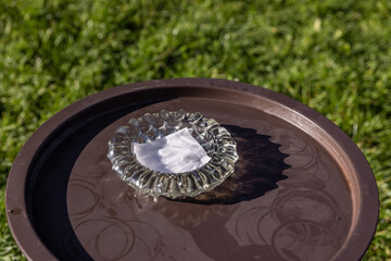 A Stylish Glass Ashtray Placed on a Brown Tray Surrounded by Lush Green Grass in a Bright Outdoor Setting