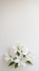 Elegant White Lilies Bouquet on White Minimalist Background lilies bouquet elegant minimalist floral