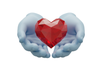Red polygonal heart in blue hands isolated on transparent background, love symbol for Valentine s Day and healthcare concepts