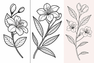 Fototapeta premium Elegant botanical line drawings with floral and leaf motifs