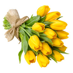 Vibrant Yellow Tulip Bouquet Tied with Twine Isolated on White Background