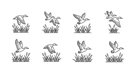 Eight hand drawn sketch style mallard ducks in flight over reeds vector
