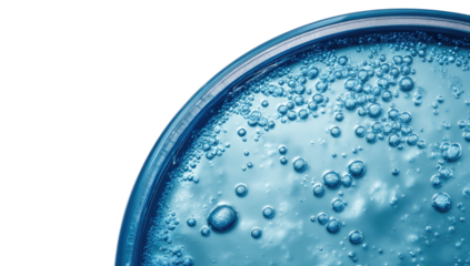 Macro view of a laboratory dish filled with clear liquid and suspended bubbles