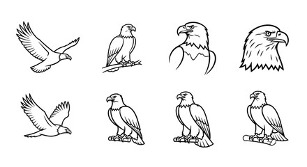 Collection of hand-drawn sketches of majestic birds of prey in flight and perched vector