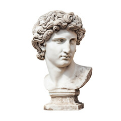 Obraz premium classical marble sculpture head statue isolated on white background