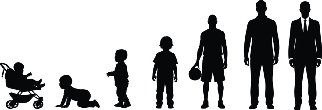 Human growth stages, silhouette illustration, child to adult development, life progression concept, age transition, physical change, maturity, childhood, youth, adulthood