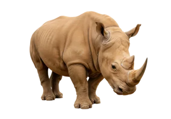 Nahtlose Fototapete Airtex Nashorn Majestic rhinoceros isolated PNG, large African mammal with thick skin and prominent horn on transparent background  © Matteo
