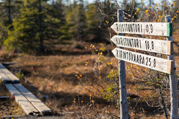 Hiking toward Riisitunturi’s summit