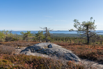 On the Riisitunturi summit