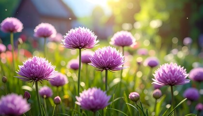 Obraz premium Close-up of beautiful purple flowers in a sunny garden with bokeh effect