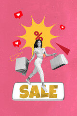 Vertical trendy art image collage of happy girl carry packages final sale percentage blogging like reaction black friday retail