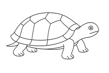 Fototapeta premium Simple outlined turtle illustration isolated on a transparent background art
