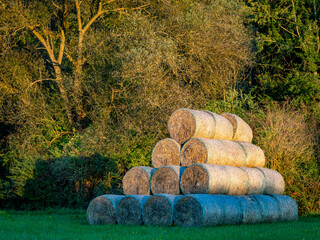 Strohrollen auf einem Feld