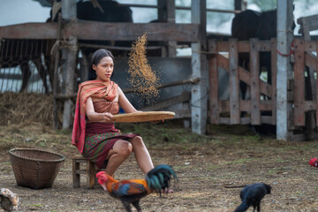 A woman cleaning the paddy before milling. An Asian woman to work. Grain separation.