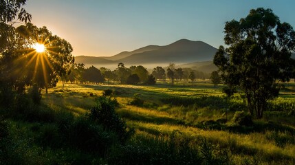 Brilliant sun rays burst through the foliage of tall trees, illuminating the green pasture and hazy distant mountain range in a tranquil landscape scene, creating a warm, inviting atmosphere.