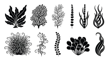 Vector illustration of assortment of eleven black silhouette illustrations of various aquatic plants and seaweed