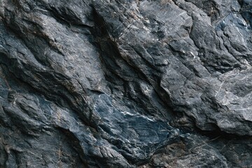 Close-up of textured dark grey rock, showing intricate patterns and contrasting light and shadow