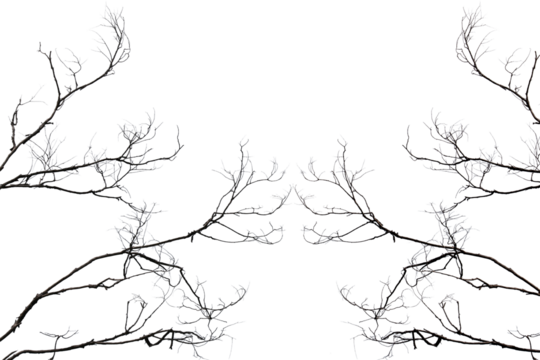 Black vector silhouette of a wolf and dog among winter tree branches against the sky