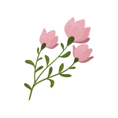 Fototapeta premium Delicate pink flowers on a stem with green leaves, a beautiful botanical illustration of spring blossoms
