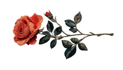 Red Rose with Green Leaves on Black Background