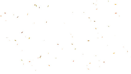 Falling leaves.Transparent Background