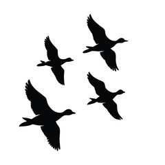 Silhouette of a flock of birds flying in the sky
