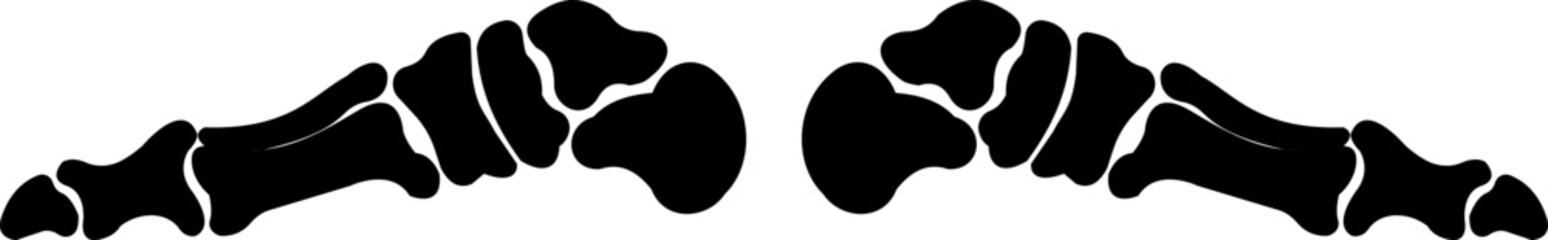 Human foot bone skeleton icon isolated on transparent background in black style, anatomy tibia femur foot fingers bones medical vector illustration design element