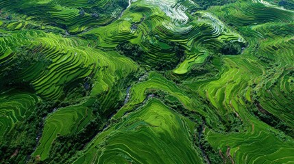 Green hillside with steep slopes and a winding river in a lush landscape