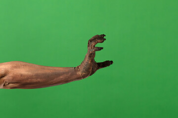 Zombie hand rising for Halloween chroma key scene