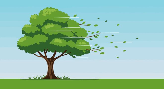 A windswept tree with leaves being blown away on a green field against a light blue sky