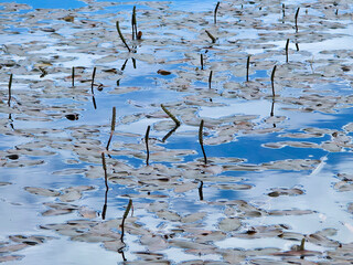 Lake Croda da Lago Val badia Dolomites mountains Italy panorama