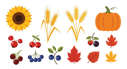 Autumn Harvest Icons Sunflower Wheat Pumpkin Berries and Fall Leaves Set