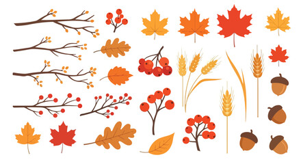 Autumn Harvest Elements Maple Leaves Berries Acorns and Wheat for Seasonal Designs