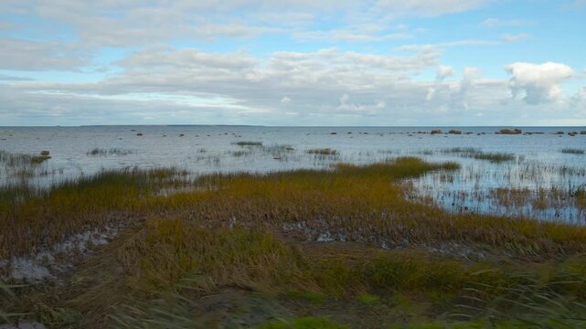 Aerial droen footage gliding over a reed and beachgrass covered Baltic sea ocean shoreline with blue colored calm sea water with small waves and ripples in the horizon. Plants are brown colored.