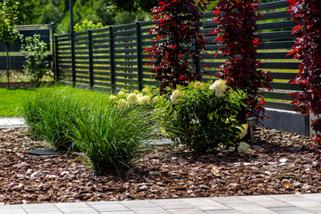 Pine bark lying in the yard in front of the house, visible fence and septic tank.