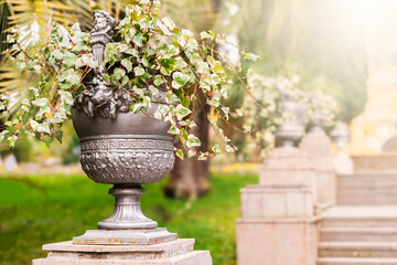 Decorative planter with thriving ivy, stone flowerpot with classic figure holding her arms above her head. Peaceful ambiance, harmoniously, tranquility atmosphere. Background, copy space.