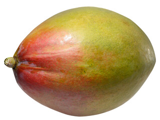 Whole mango with smooth skin, tropical fruit on isolated background
