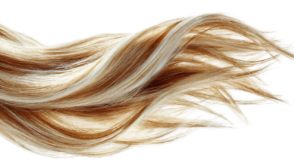 Long shiny blonde hair strand isolated on white background, beauty and haircare concept for hairstyle, salon, cosmetic fashion, healthy hair texture
