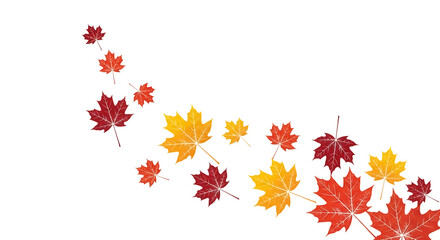 A swirling pattern of red and yellow maple leaves in autumn colors isolated on a transparent background