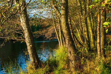 Obraz premium A landscape view of a lake with trees in autumn color with mirror reflection at Wollaton Country and Deer Park in Nottingham, UK. 
